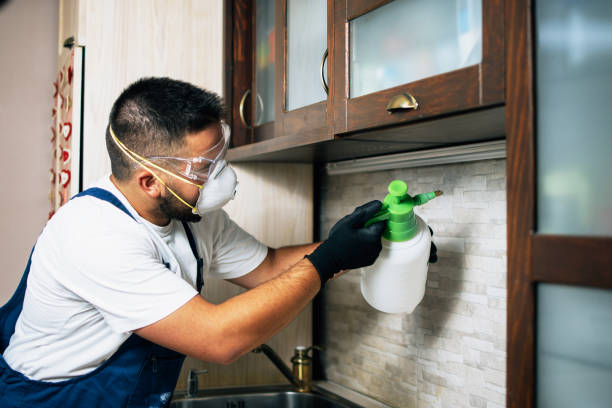 Best Pest Control for Homes  in Lorado Springs, CO