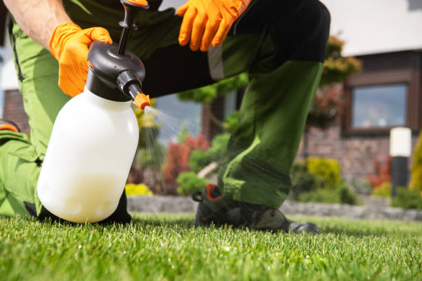 Best Pest Removal Services  in Lorado Springs, CO