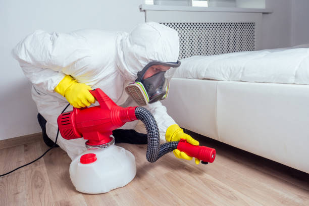 Wildlife Control Services in Colorado Springs, CO