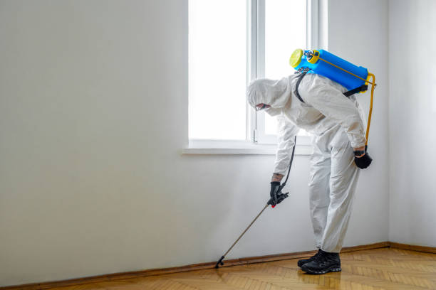 Best Commercial Pest Control Services  in Lorado Springs, CO