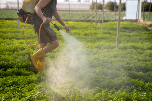 Best Affordable Pest Control Services  in Lorado Springs, CO