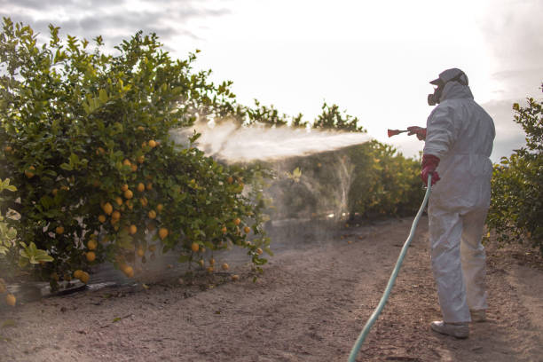 Best Insect Control  in Lorado Springs, CO