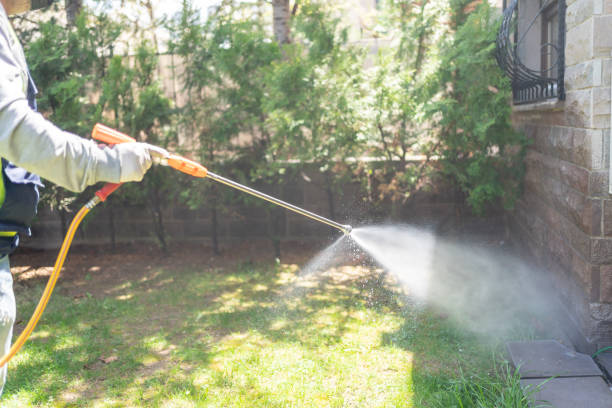 Best Best Pest Control Companies  in Lorado Springs, CO