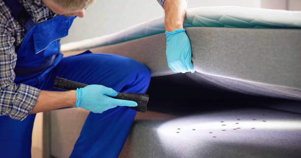 Best Affordable Pest Control Services  in Lorado Springs, CO